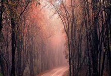 红军客场完胜，小组领跑势不可挡