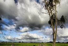 北京首钢主场失利，遭遇三连败