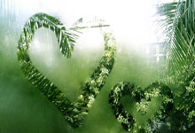 欧冠比赛抽签结果公布，球队备战紧张