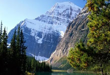 步行者球员发挥出色，连续多场胜利